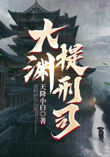 大淵提刑司 封面