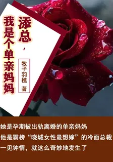 添總，我是個單親媽媽 封面