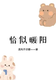 恰似暖陽 封面