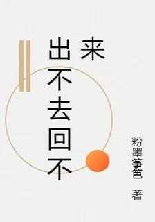 出不去回不來 封面