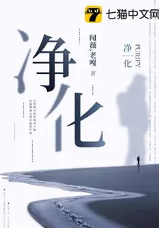 淨化 封面