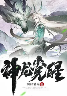 神龍覺醒 封面