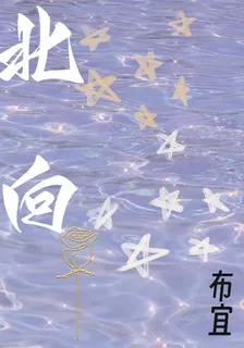 北向 封面