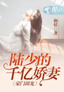 陸少的千億嬌妻