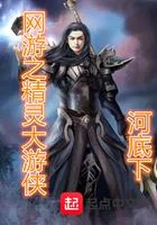 網遊之精靈大遊俠 封面