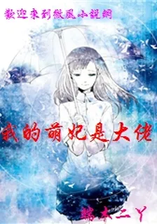 我的萌妃是大佬 封面