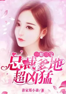一胎三寶總裁爹地超兇猛 封面