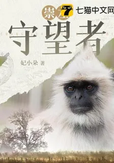 崇左守望者 封面