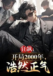 狂飆：開局2000年，浩然正氣 封面