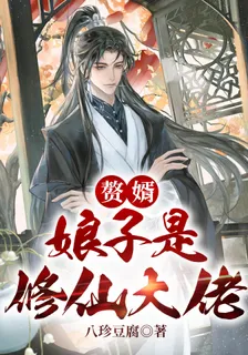 贅婿，娘子是修仙大佬 封面