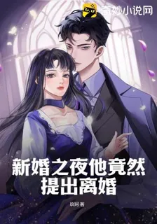 新婚之夜他竟然提出離婚 封面