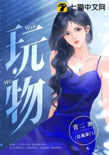 玩物 封面