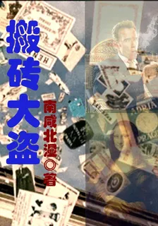 搬磚大盜 封面