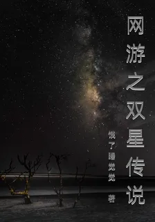 網遊之雙星傳說 封面