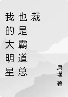 我的大明星也是霸道總裁 封面
