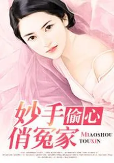 妙手偷心俏冤家 封面
