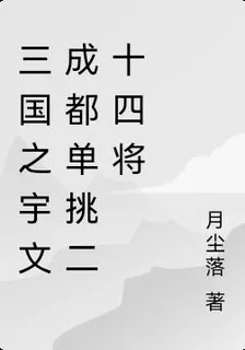 三國之宇文成都單挑二十四將 封面