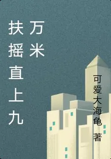 扶搖直上九萬米 封面
