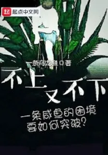 不上又不下 封面