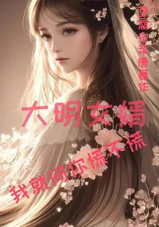 大明女婿我就問你慌不慌 封面