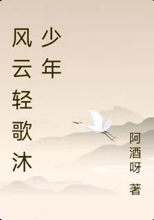 風雲輕歌沐少年 封面