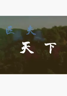 匹夫天下 封面