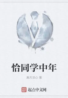 恰同學中年 封面