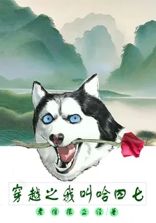 穿越之我叫哈四七 封面