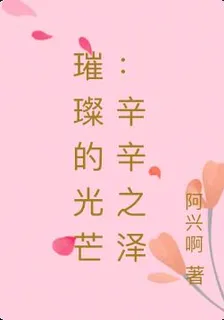璀璨的光芒：辛辛之澤 封面