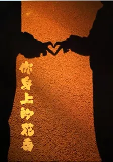 你身上的花香 封面