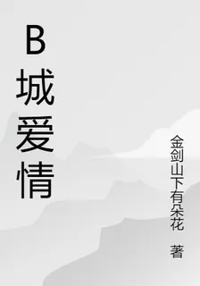 B城愛情 封面