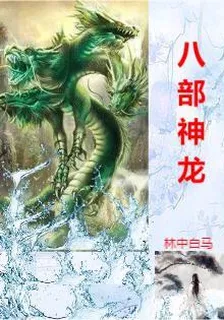 八部神龍 封面