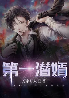 第一潛婿