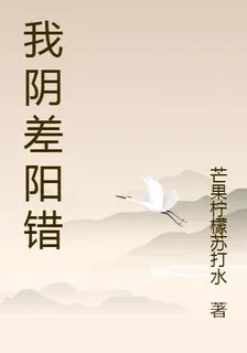 我陰差陽錯 封面