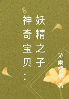 神奇寶貝：妖精之子 封面