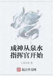 成神從泉水指揮官開始 封面