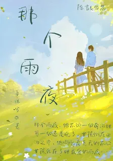 那是雨夜 封面
