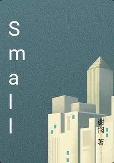 Small 封面