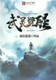 武靈覺醒 封面