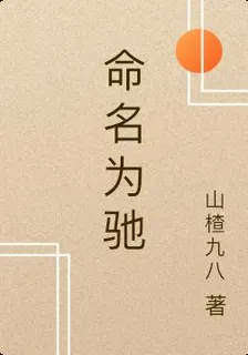命名爲馳 封面