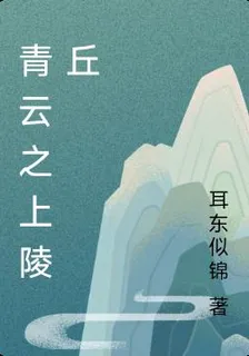 青丘：四載風雨 封面