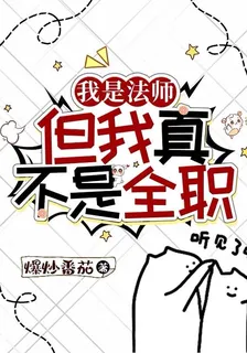 我是法師，但我真不是全職！ 封面