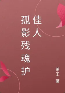 孤影殘魂護佳人 封面