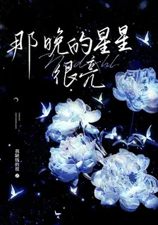 那晚的星星很亮 封面