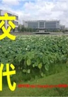 交代 封面