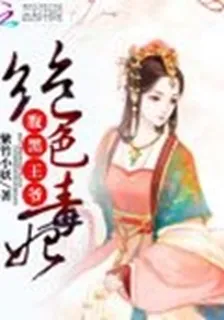 腹黑王爺絕色毒妃 封面
