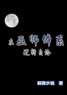 在巫師體系邏輯自洽 封面