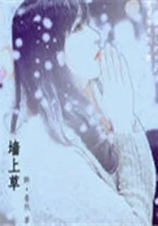 牆上草 封面