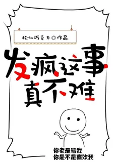 發瘋這事真不難 封面