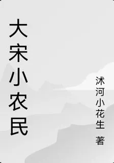 大宋小農民 封面